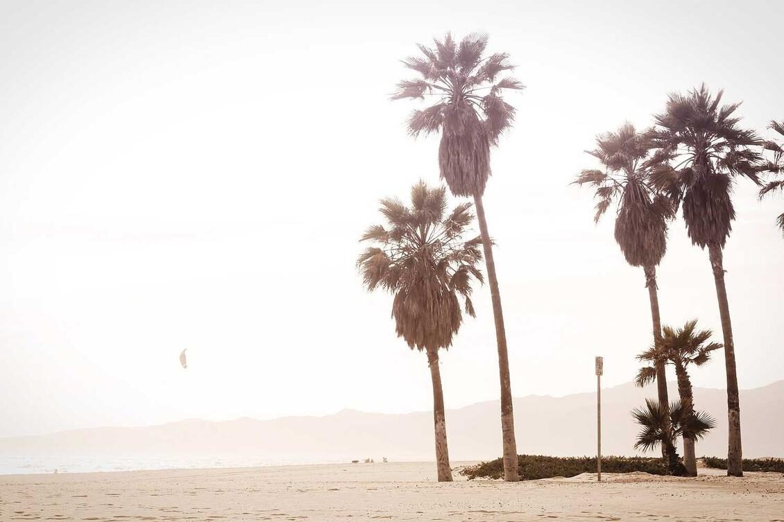 Voluptatum quam quasi repudiandae