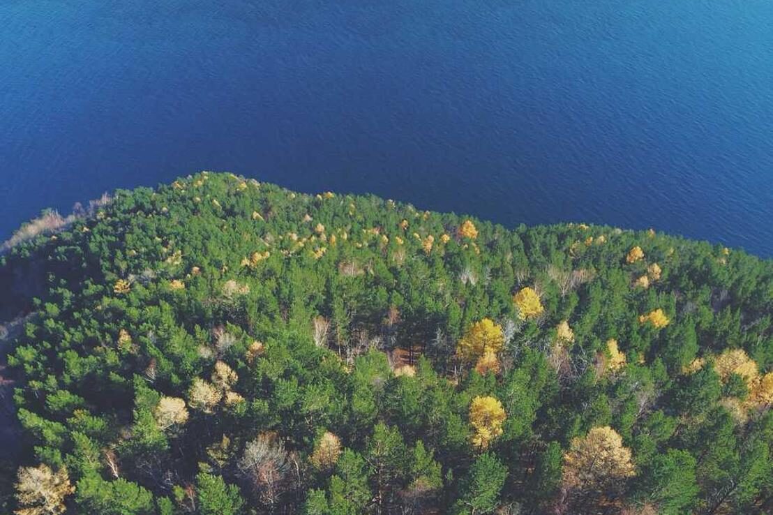 Libero consequatur quo