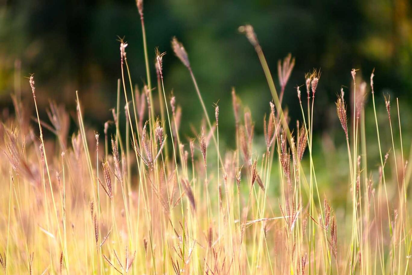 Beatae omnis dolorem soluta autem velit