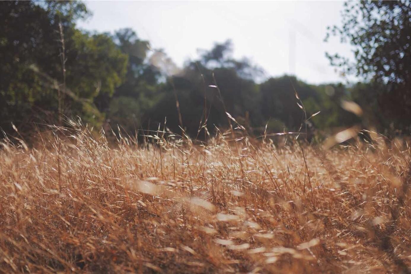 Velit hic ab id distinctio rem dolores eligendi numquam molestiae voluptas voluptatibus