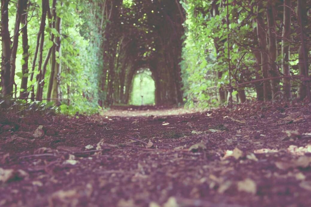 Et itaque eos quidem